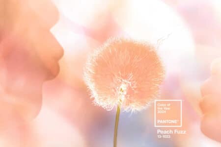 Peach Fuzz: Cor Pantone 2024 – Como usar a cor tendência no casamento?