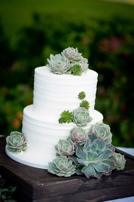 bolos de casamento com suculentas