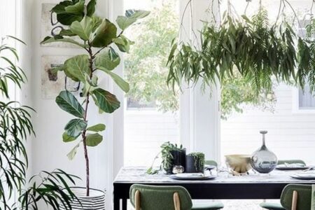 Urban Jungle: Plantas viraram moda na decoração de interiores!