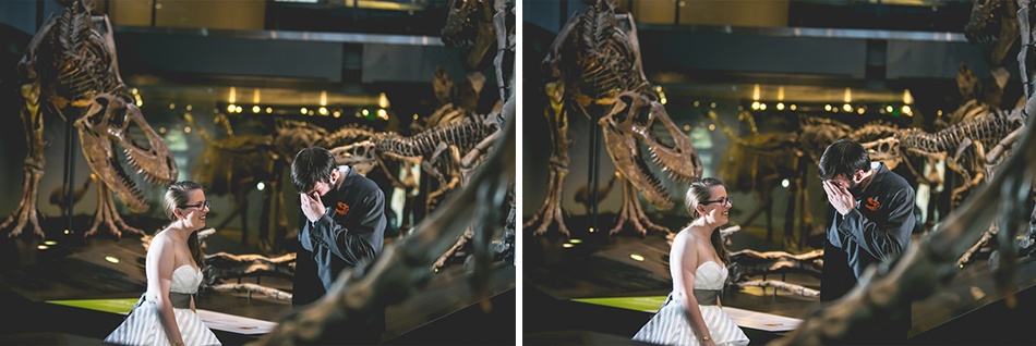  esqueletos histórico casar dinossauros estados unidos museu histórico casamento