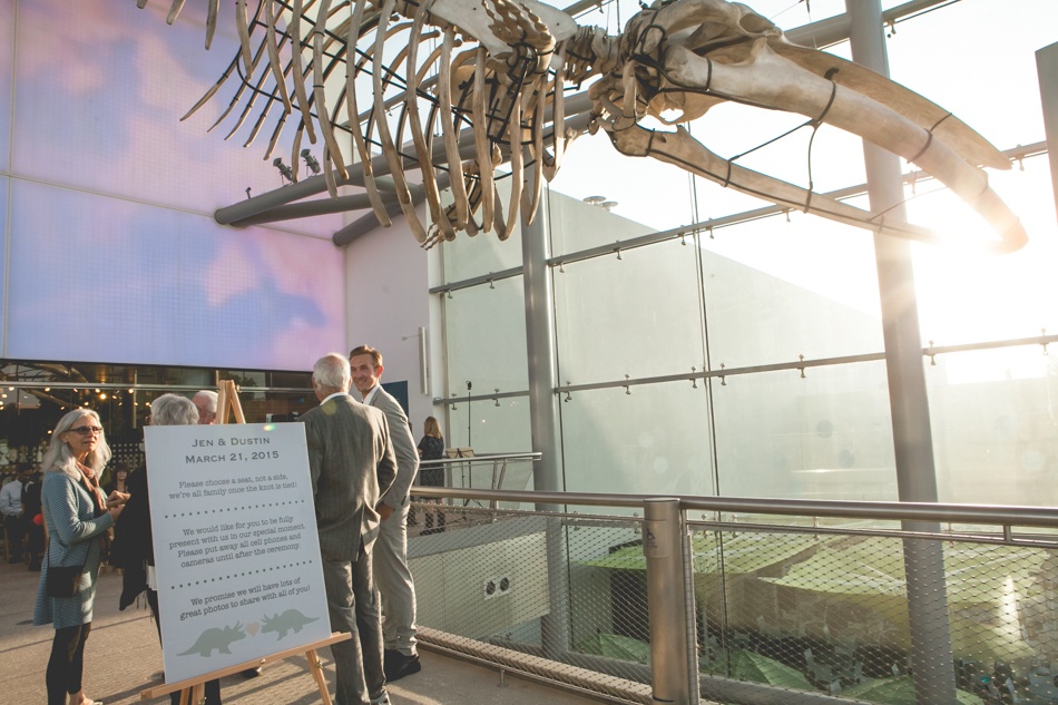  estados unidos rocker in love dinossauros museu histórico casar esqueletos casamento no museu