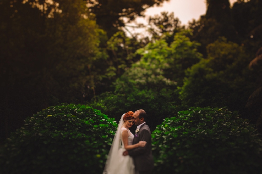  fotos 2015 fotografias melhores casamento real