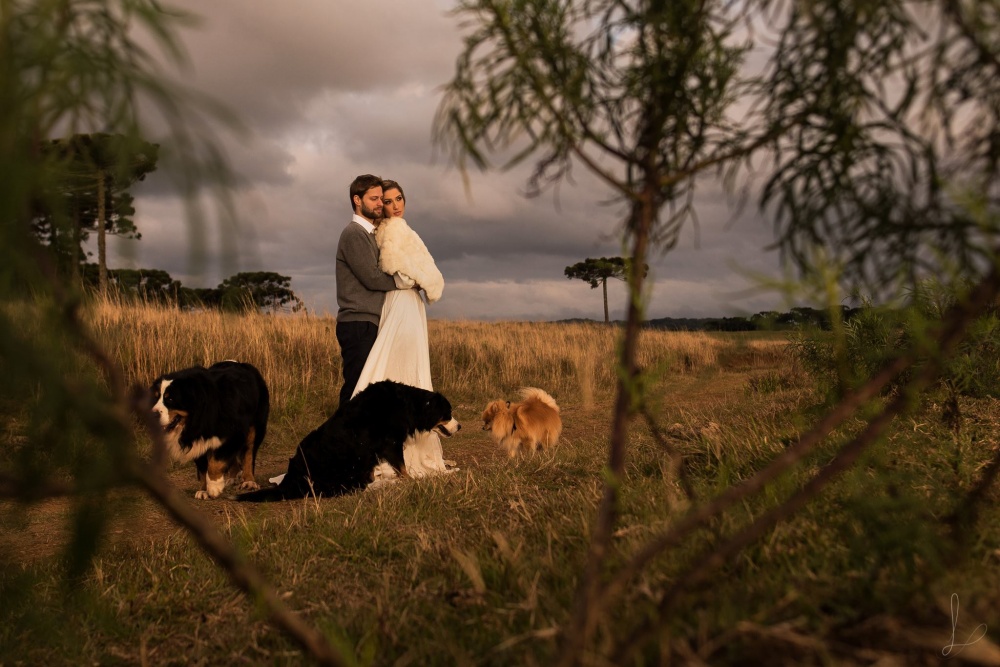  spitz cachorros lucas lermen foto ensaio casamento pet fazenda